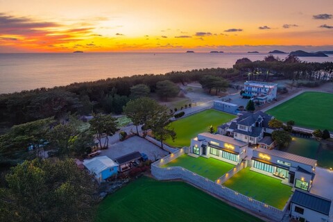 태안 도그데이애견풀빌라