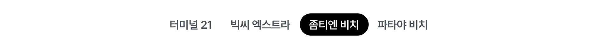 pc_좀티엔비치.jpg