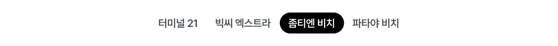 pc_좀티엔비치.jpg