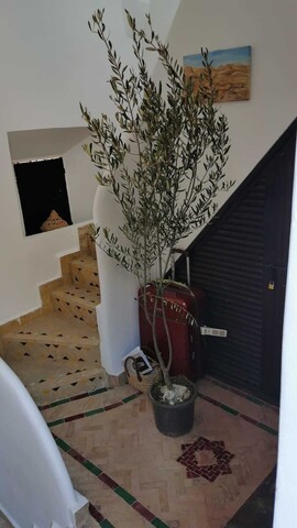 리아드 레 앙주 뒤 데제르