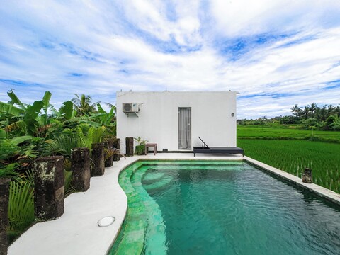 화이트 큐브스 빌라스