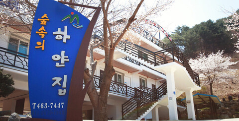 인제 숲속의하얀집펜션