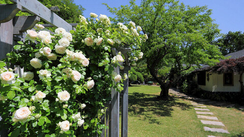 김포 마리의정원펜션