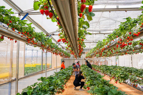 product-thumbnail-4