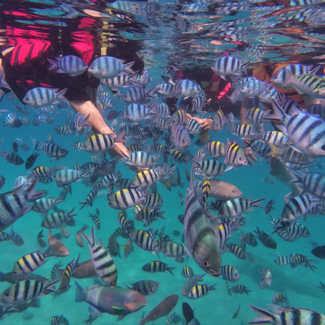 여행 상품 이미지