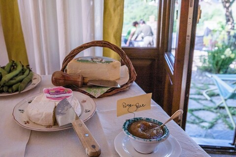 빌라 디 캄폴룬고 아그리투리스모