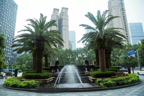 YM 골드 올리브스 하모니 인터내셔널 호텔