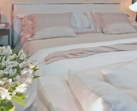 디그니터리 디스크리션 코아첼라 밸리