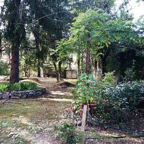 마지아 디 마레