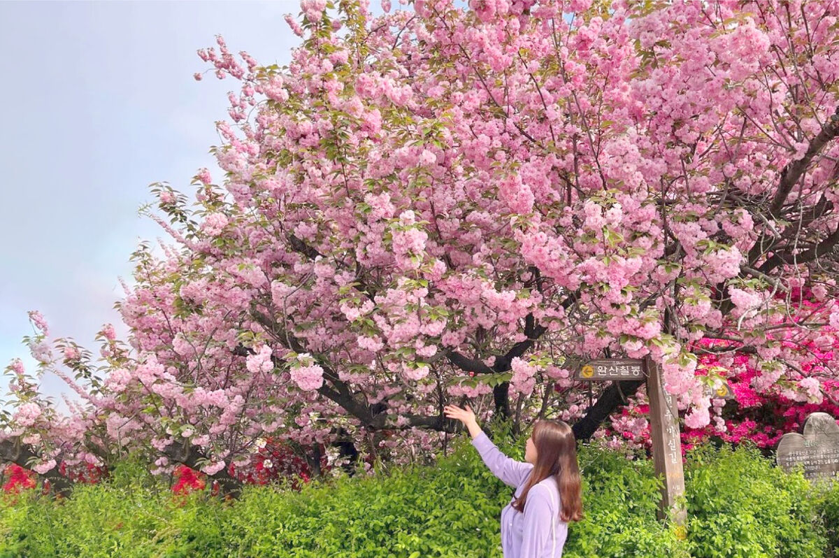 전주 전주한옥마을 + 완산공원 + 각원사 :마이리얼트립
