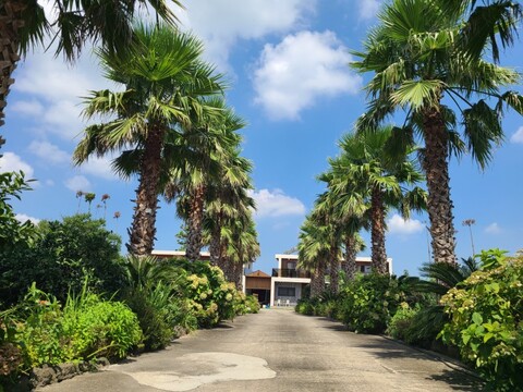 서귀포 가족여행펜션