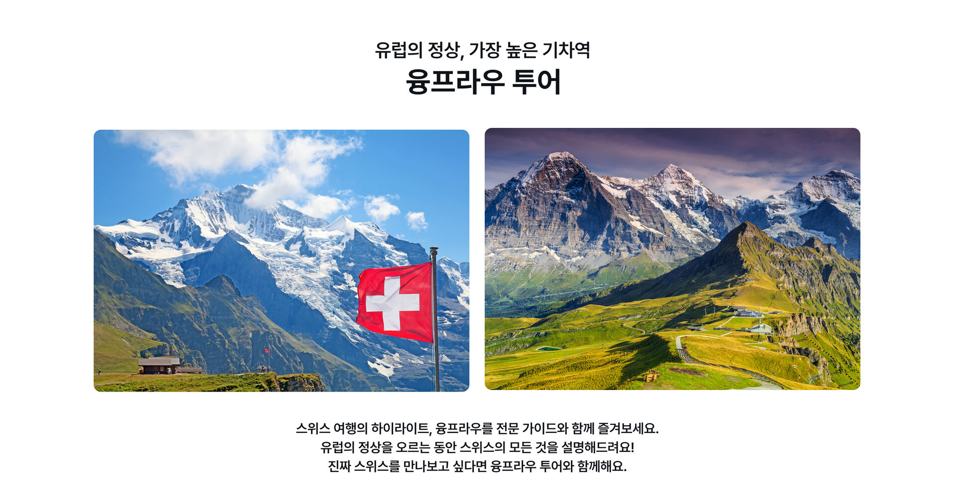 스위스프로모12.jpg