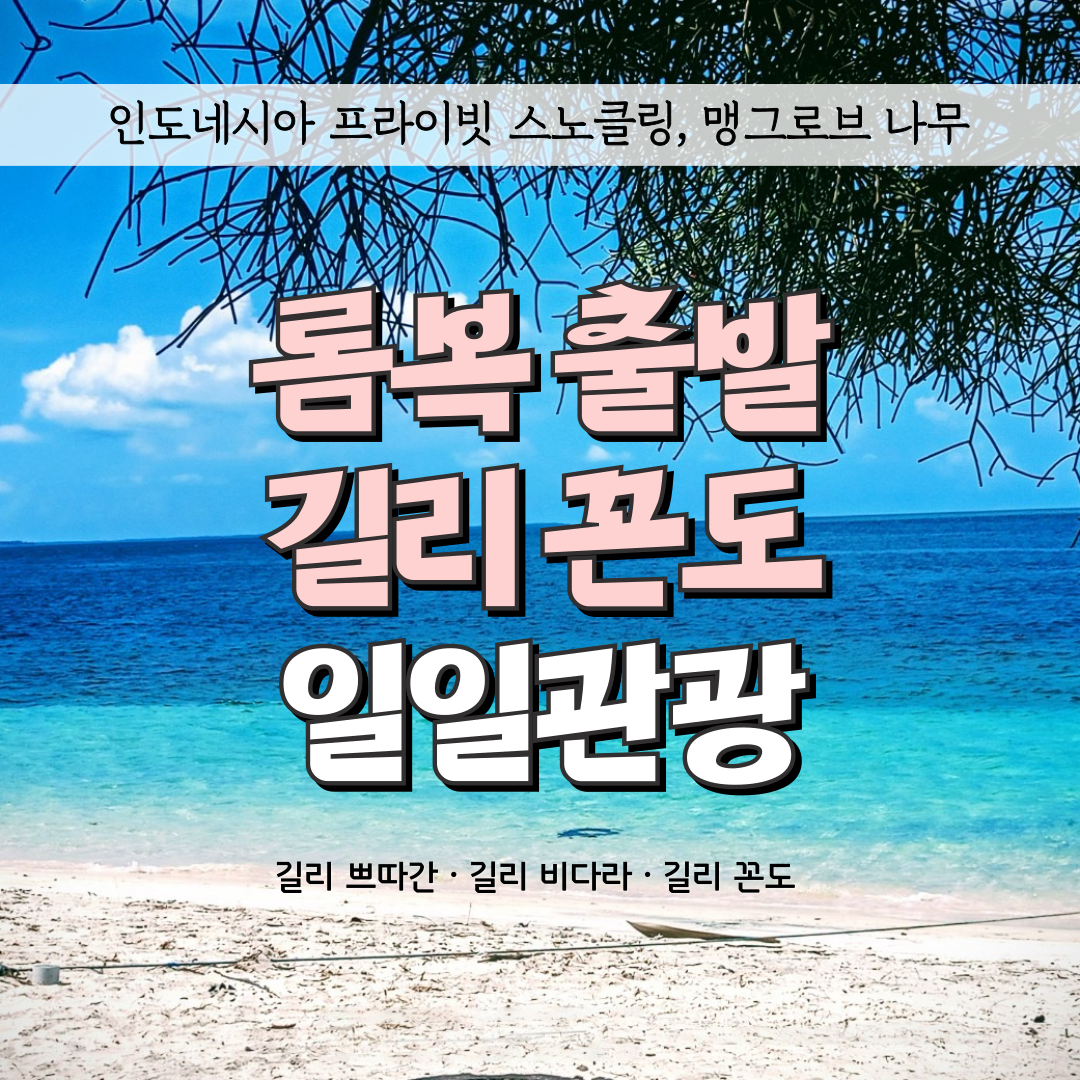 인도네시아 일일관광 롬복 출발 길리 꼰도 쁘따간 비다라 섬 스노클링 포함 현지인가이드 상세 이미지 1