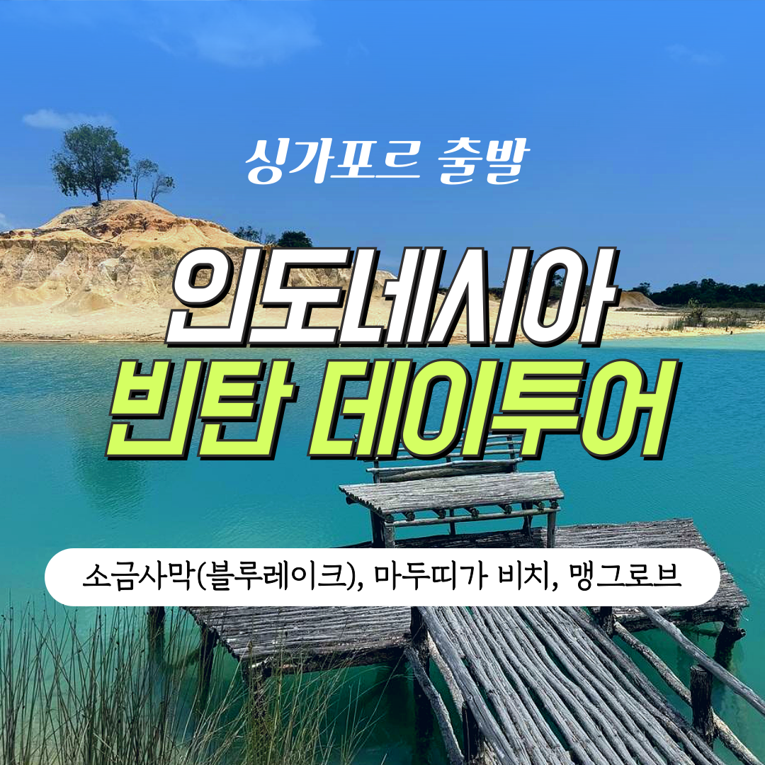 싱가포르 출발 인도네시아 빈탄 데이투어 - 블루레이크(소금사막), 마두띠가 해변, 맹그로브 상세 이미지 1