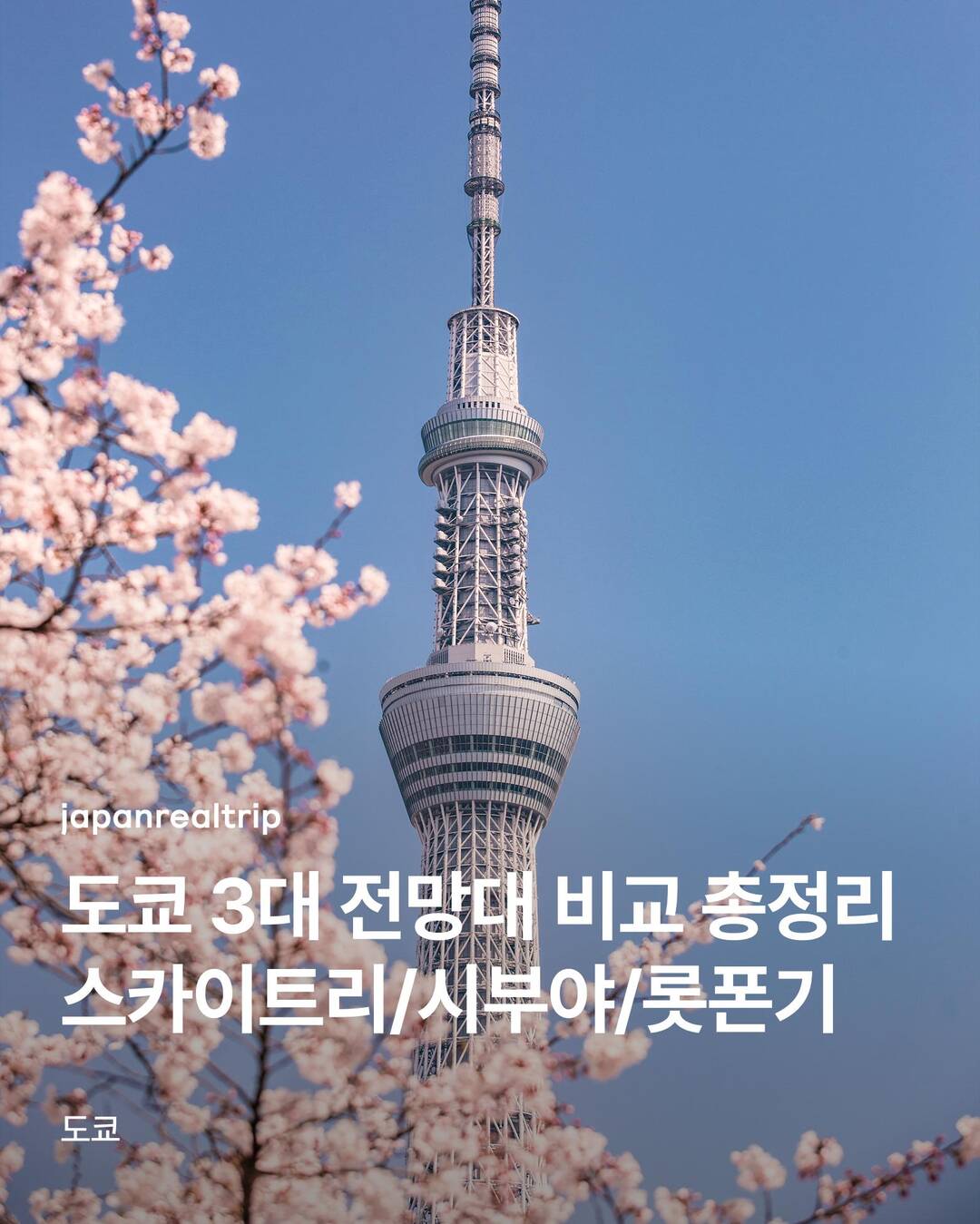 도쿄-장소0