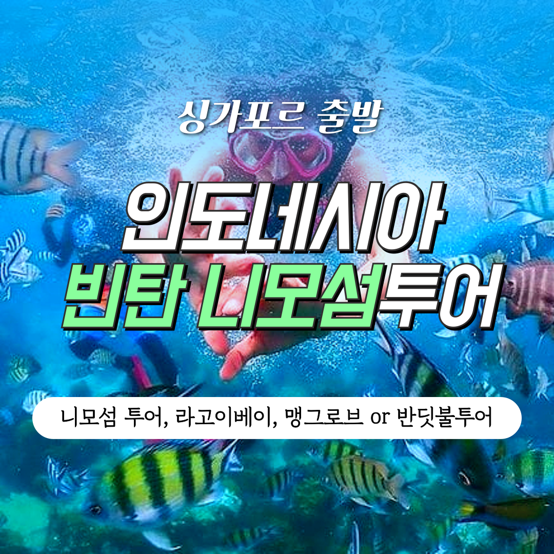 싱가포르 출발 인도네시아 빈탄 니모섬 투어 - 스노클링, 라고이 베이, 맹그로브/반딧불투어 상세 이미지 1