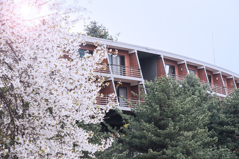 더글라스 하우스