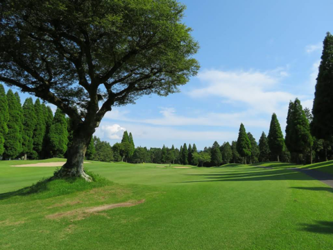 product-thumbnail-3