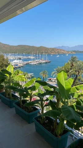 마이 룸스 페티예