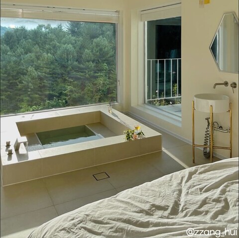 파주 머스트화이트