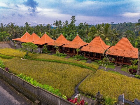 우마 울룬 두굴 우붓, 다난자야 호스피탈리티