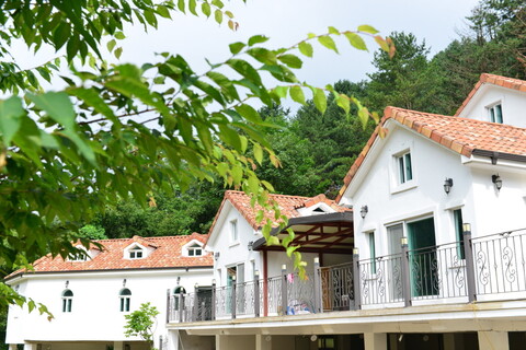 춘천 하늘빛관광농원펜션