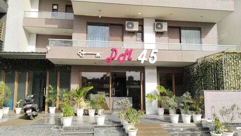 DM 45