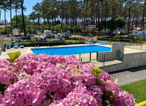 파르크 드 캄피즈무 오르비투르 발라두