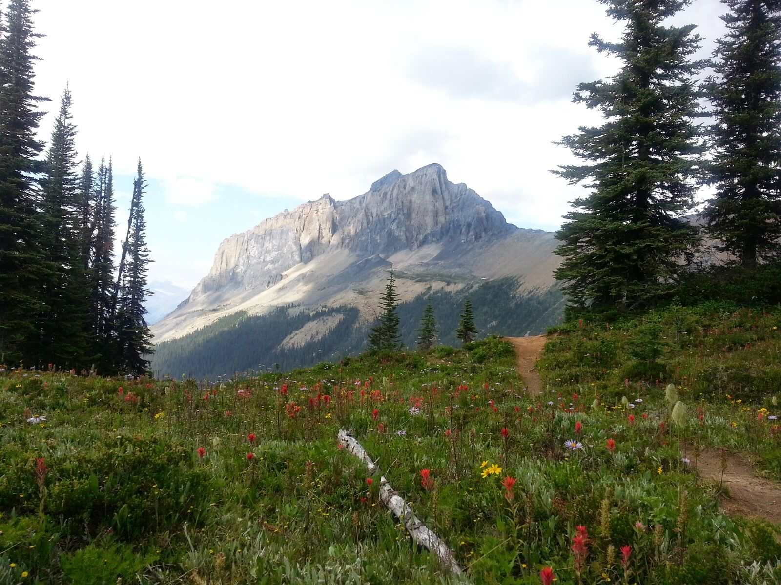 여행 상품 이미지