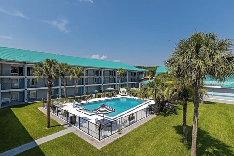 팜 트리 인 알타몬트 스프링스 올랜도