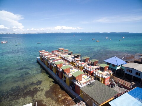 문라이트 코 LAN