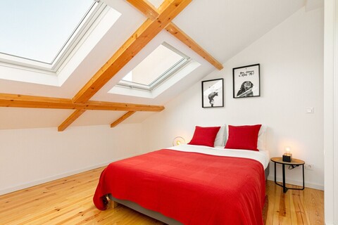 아로이오스 콘셉트 VI 바이 호밍