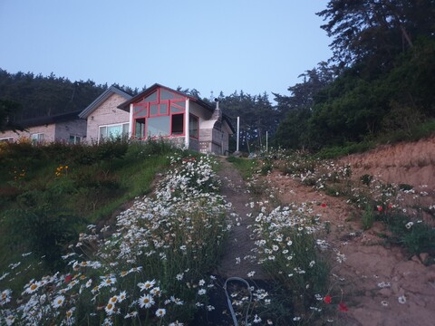 태안 피구지관광농원