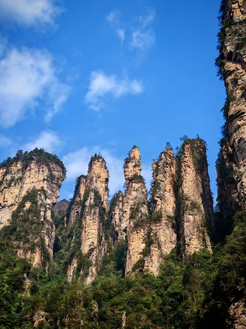 장가계 투어 - ♥️[WEST 여행사]오늘만큼은 대자연에 빠져드는~ 대협곡(VR포함)+국립공원 데이투어