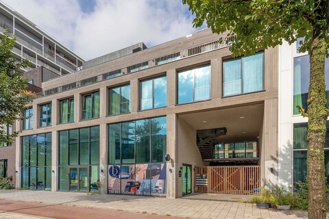 벤스 더 하이독스