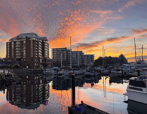 코스트 빅토리아 호텔 & 마리나 바이 APA