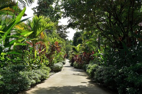 레인포레스트 리조트 푸꾸옥