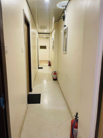 더 카시 스테이즈