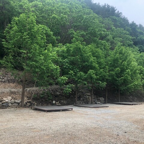 인제 내린천솔밭힐링캠핑장