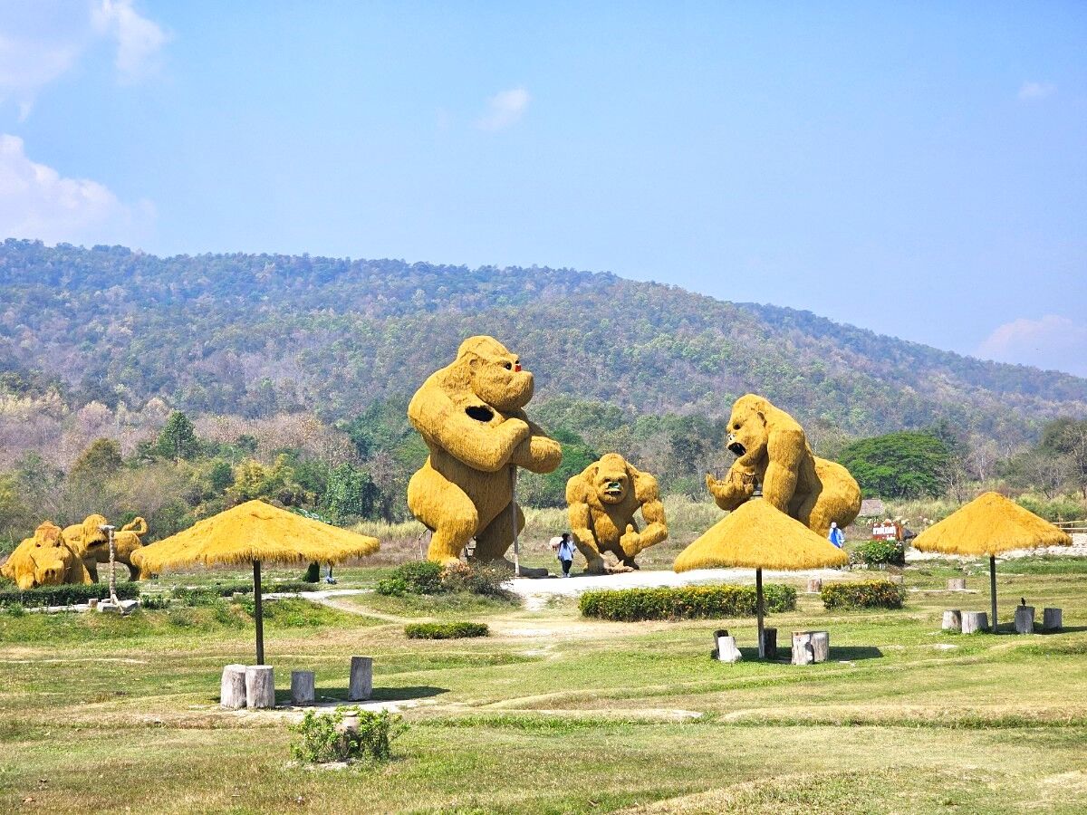 치앙마이 몬쨈 후웨이퉁타오 호수 반일 단독 투어 (한국어가이드) 