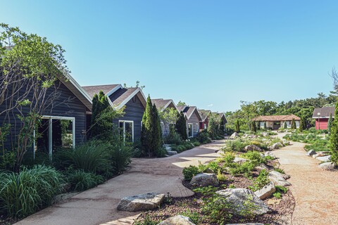 더스테이힐링파크