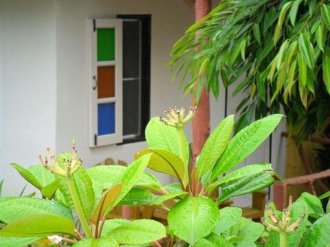 카오락 바나나 방갈로