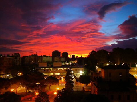 B&B 센터 갤러리