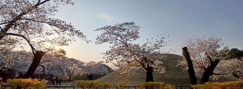 경주 투어 - [영어] 어서 오세요, 경주는 처음이시죠? Welcome, First time in GJ?