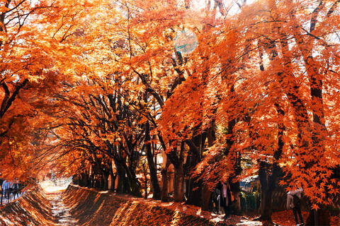 product-thumbnail-4