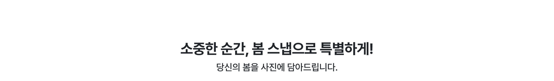 스냅.jpg