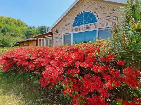 양평 오크하우스펜션