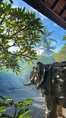 와나 카르사 더 빌라스 우붓