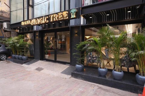Hotel The Magic Tree - Paharganj