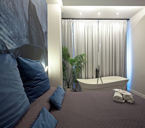 베수비아누스 룸스 앤드 모어